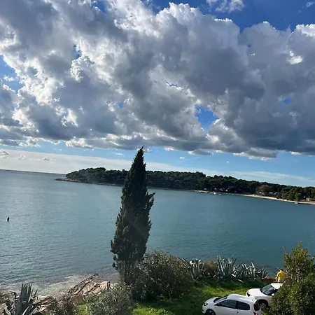 With A Sea View Póla