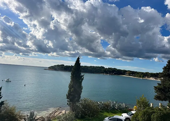 With A Sea View Póla